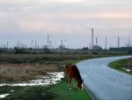 Esso oil refinery Fawley New Forest.jpeg